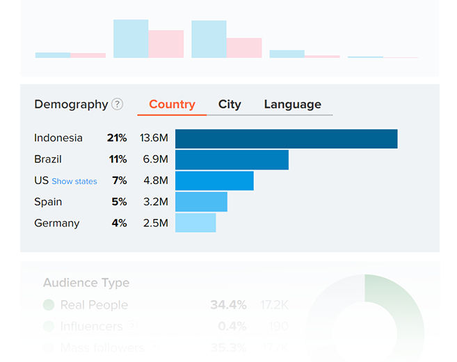demography and language insights - instagram followers check online
